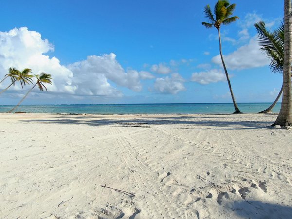 Où pratiquer le snorkeling au milieu des raies manta à Hawaii ?